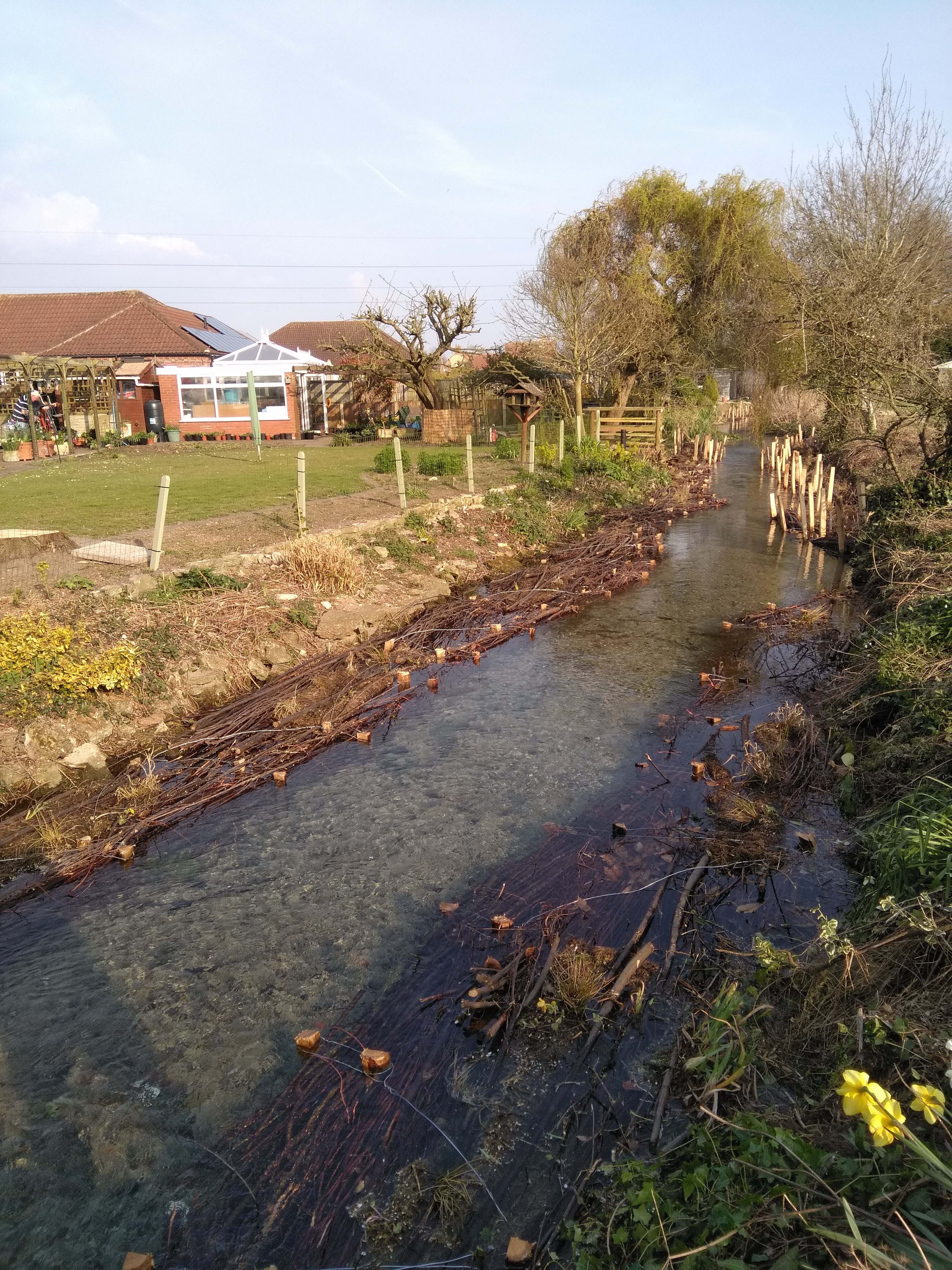 Berms And Hinging Witham Slea Blue Green Corridor Blue Green Corridor